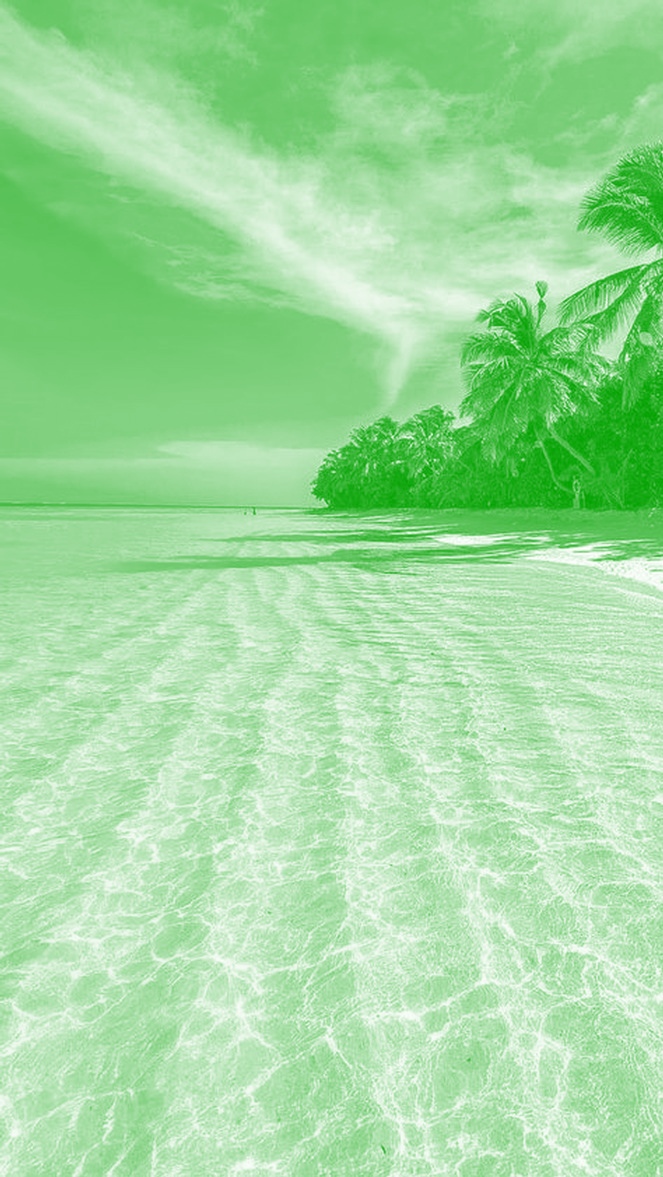 Reizen en vakantie